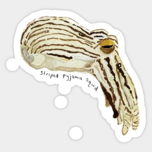 Striped Pyjama Squid Watercolor Painting | Weird Animal Sticker